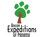 Ancon-logo