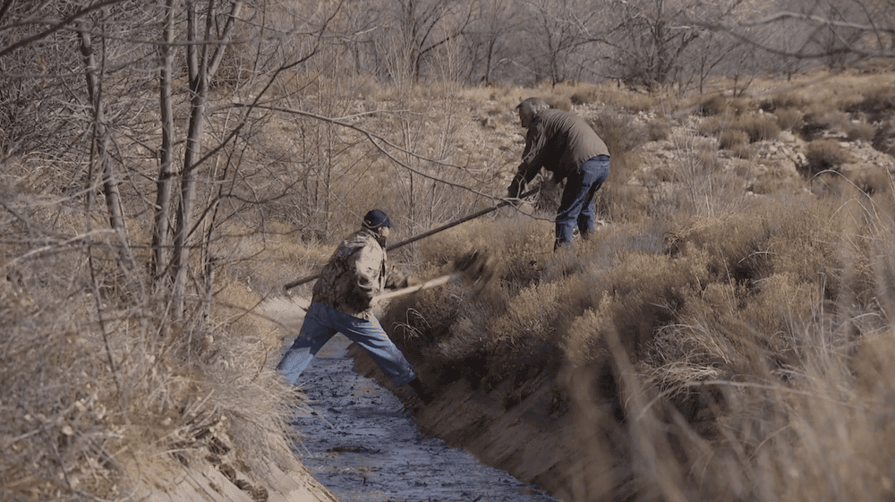 Two men clearing out an acequia