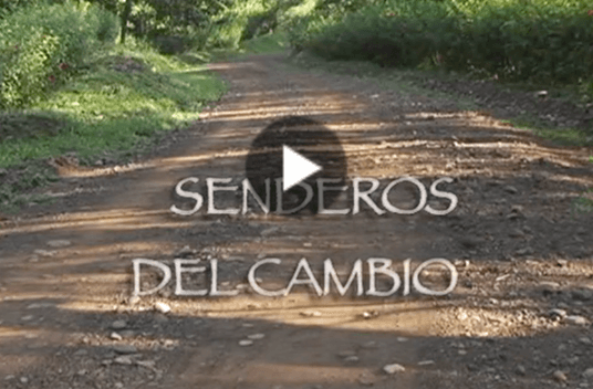 Senderos del Cambio Thumbnail of dirt jungle road