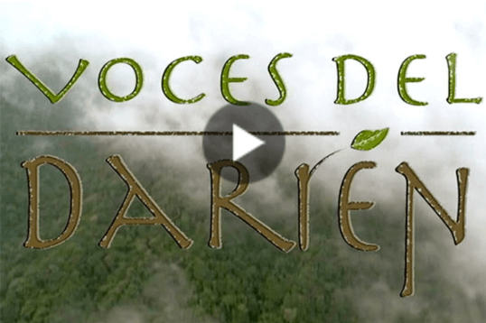 Voces de Darien thumbnail with foggy jungle background