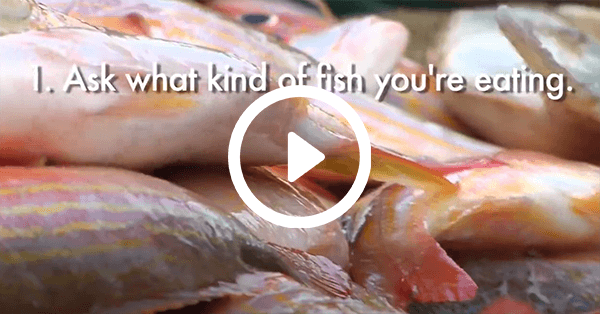 Fish at market with text "ask what kind of fish you're eating"