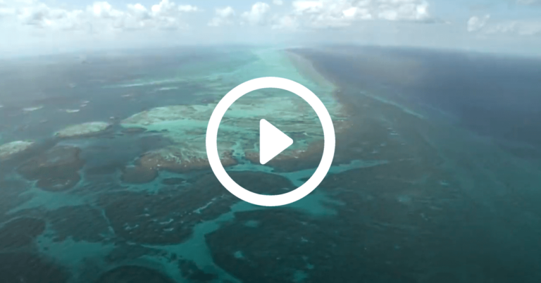 Aerial shot of barrier reef with small islands and green/blue water off Belize