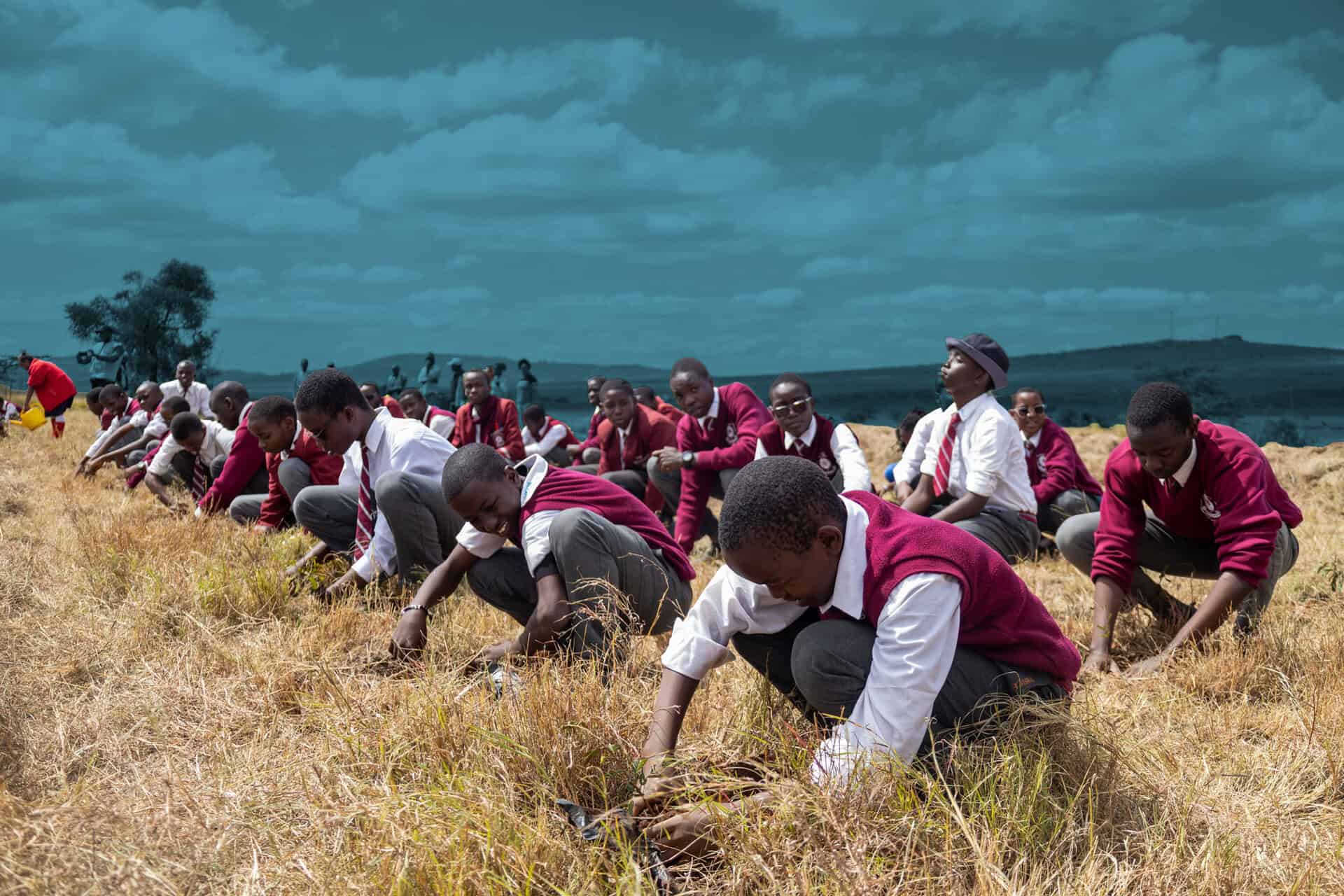 A group of students in uniforms crouch and plant seedlings in a dry, grassy field under a cloudy sky, participating in hands-on learning as part of the Kenyan education system.