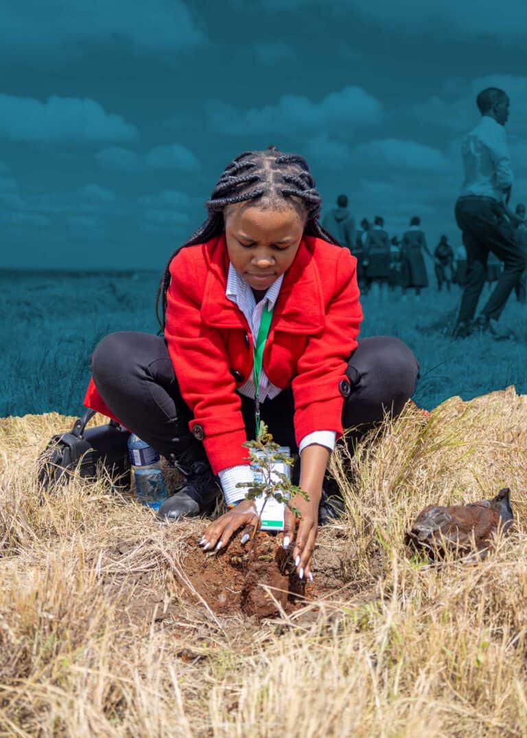 A woman in a red coat kneels on dry grass, planting a small tree sapling in the ground, with people visible in the blurred background.