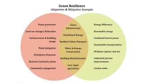Lesson 2 Venn Diagram Activity titled Green Resilience - Adaptation and Mitigation Synergies